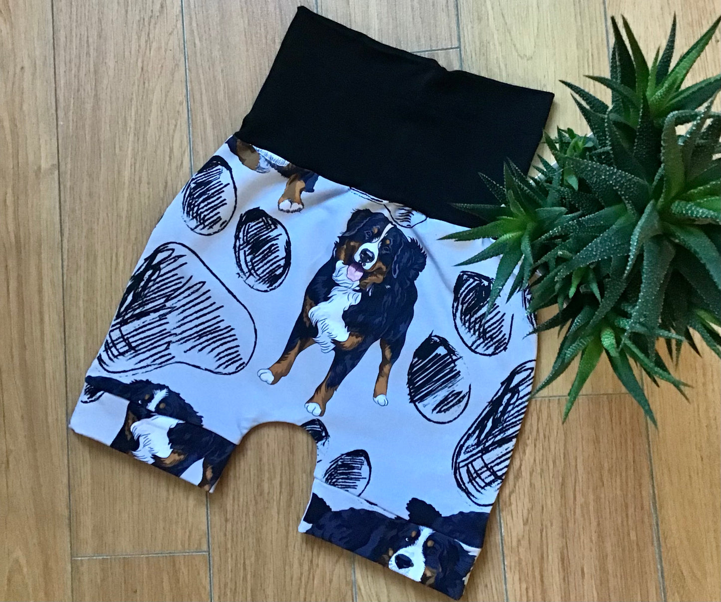 Short évolutif les bouviers gr:2 à 4 ans dans le prêt à partir.