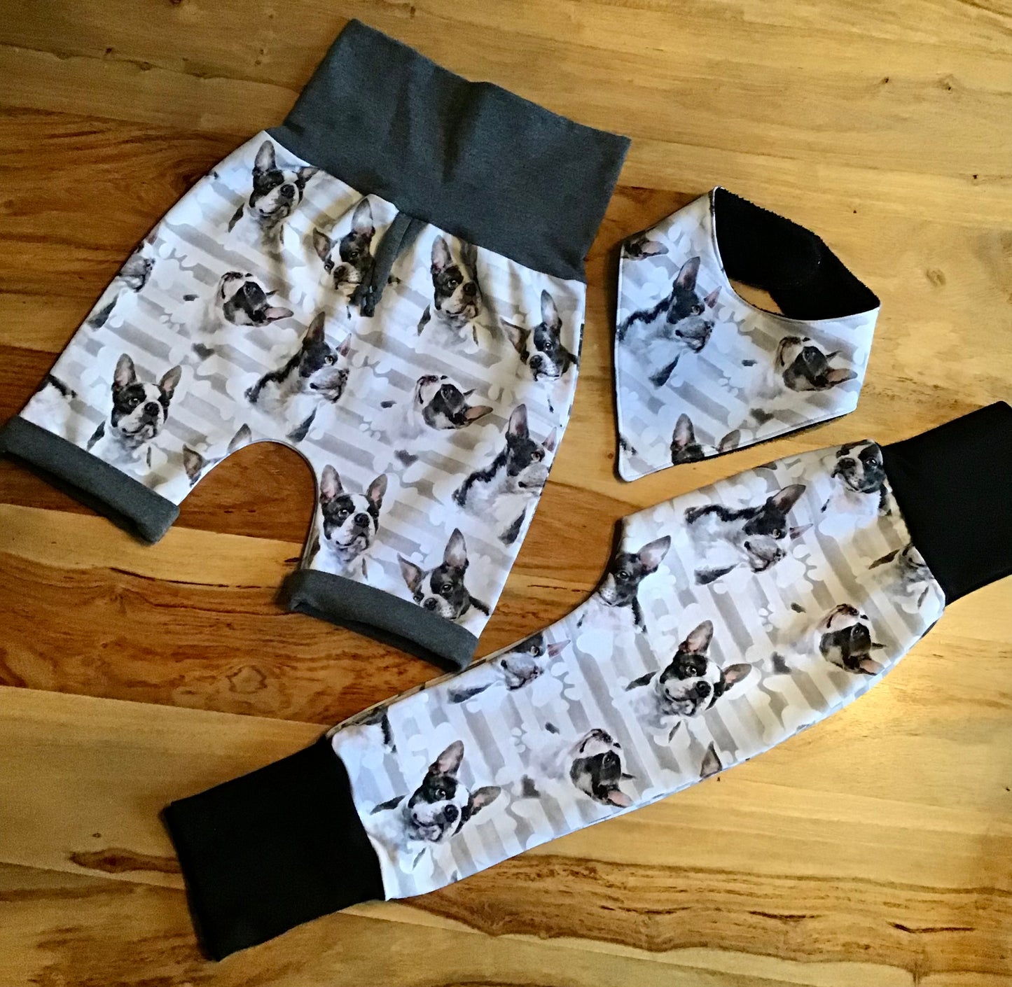 Sarouel évolutif les chiens gr:6 à 24 mois/