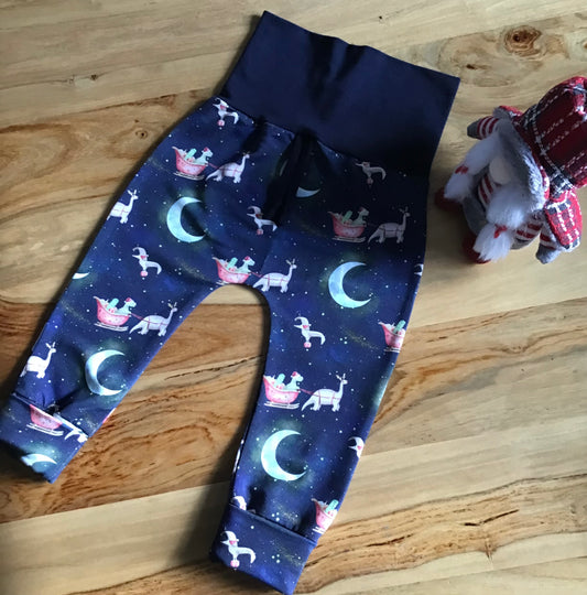 Sarouel évolutif les dinosaures🦕 de Noel