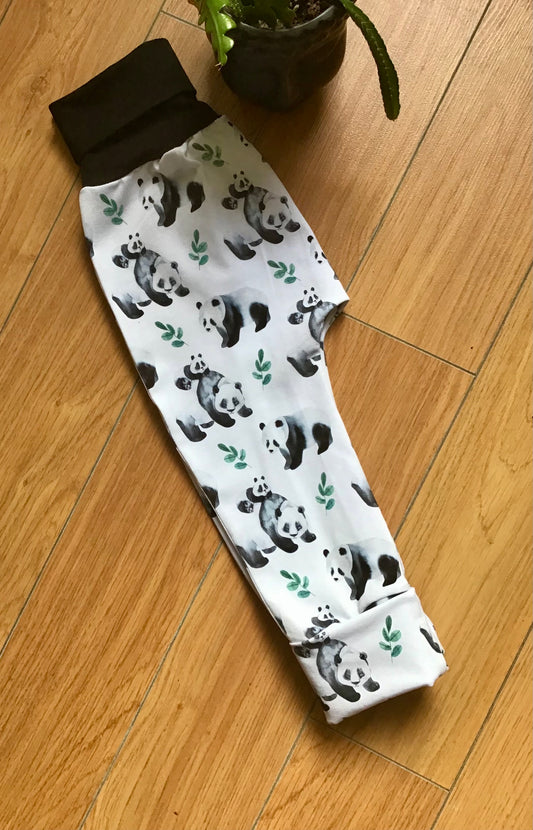 Evolutionary harem pants pandas
