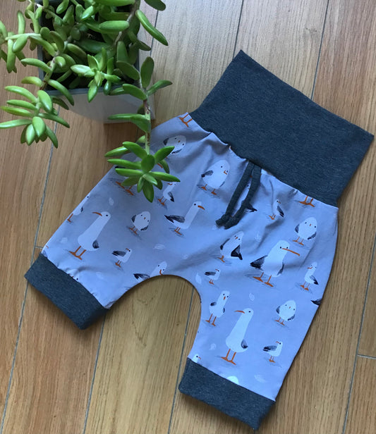 Short évolutif  les mouettes gr:1 à 3 ans prêt à partir